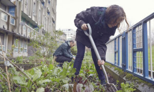 Guardians volunteering in a community garden.